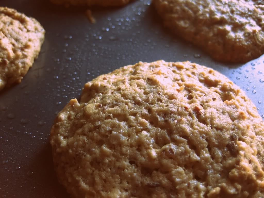 Vegan Peanut Butter Cookies Kosher In The Kitch!