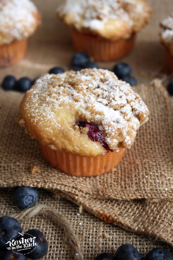 Blueberry Crumb Muffins