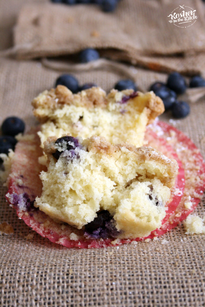 Blueberry Crumb Muffins