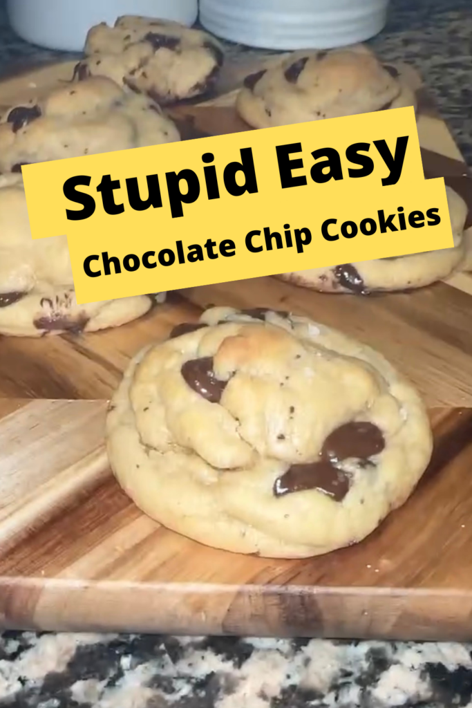 easy no mixer no chill chocolate chip cookies